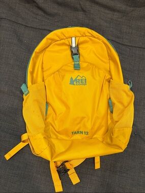 REI Tarn 12 Yellow Daypack